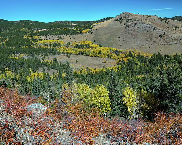 Autumn Hills Of Boulder County Colorado by James BO Insogna Autumn Hills Of Boulder County Colorado by James BO Insogna