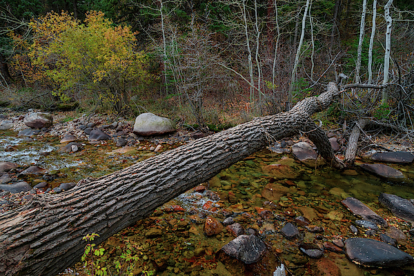 Fallen Becomes The Crossing by James BO Insogna Fallen Becomes The Crossing by James BO Insogna