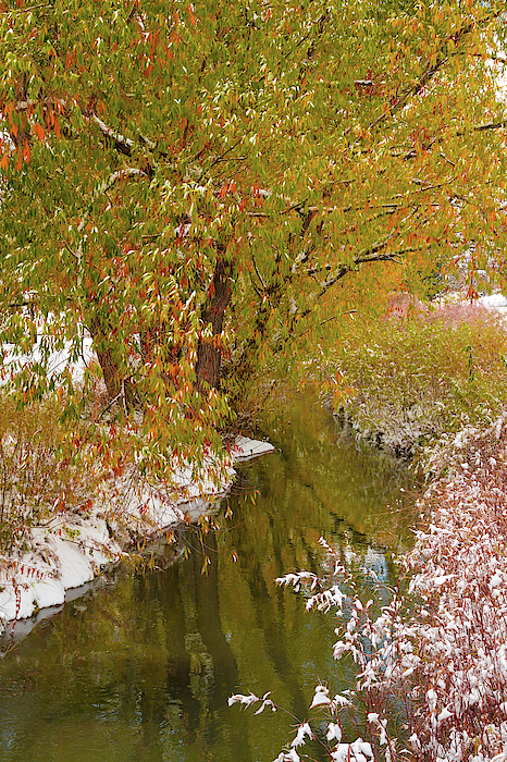 Seasons Collide by James BO Insogna Seasons Collide by James BO Insogna