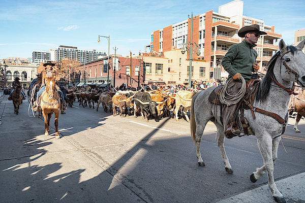 Cowboys in the City by James BO Insogna Cowboys in the City by James BO Insogna