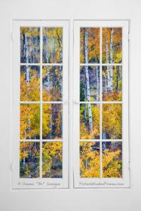 NEW Old 16 Pane White Window Colorful Fall Aspen View