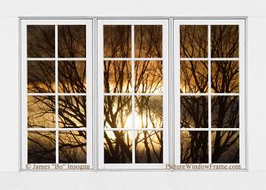 Golden Sun Silhouetted Tree Branches White Window View